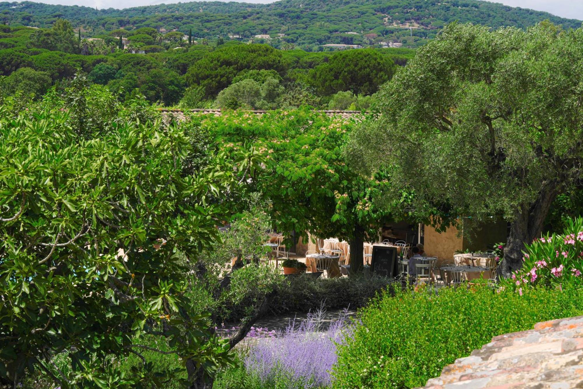 Hotel La Figuiere Ramatuelle Buitenkant foto