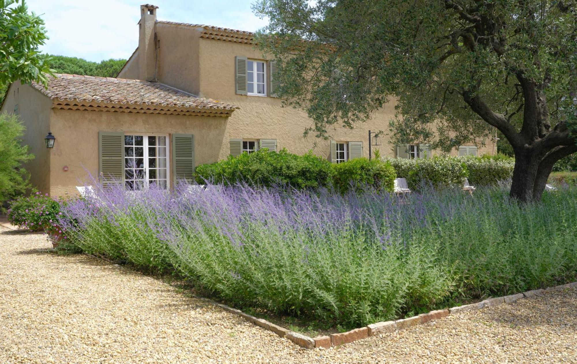 Hotel La Figuiere Ramatuelle Buitenkant foto